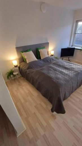 Free Parking Center Of The City Studio Aalborg in Aalborg 